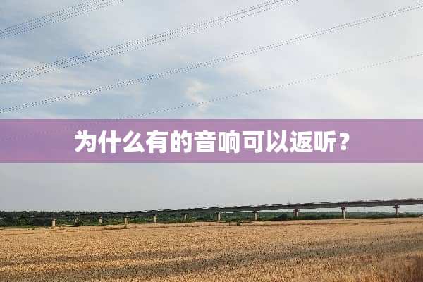 为什么有的音响可以返听？