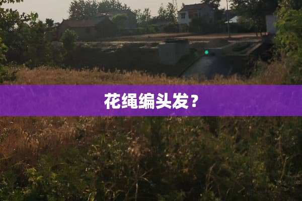花绳编头发？