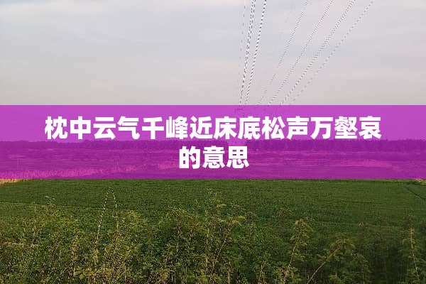 枕中云气千峰近床底松声万壑哀的意思