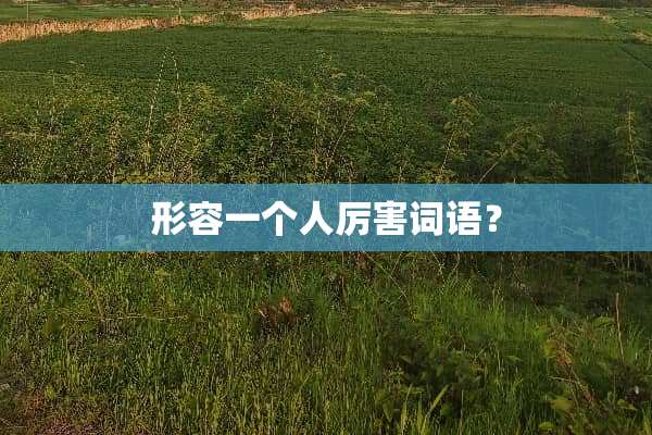形容一个人厉害词语？