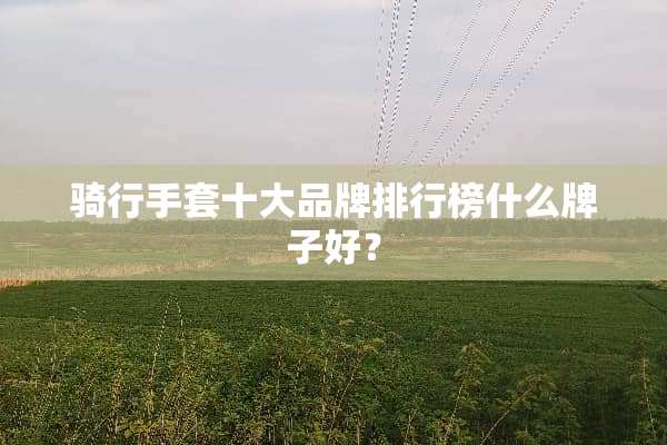 骑行手套十大品牌排行榜什么牌子好？