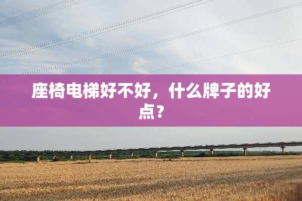 座椅电梯好不好，什么牌子的好点？