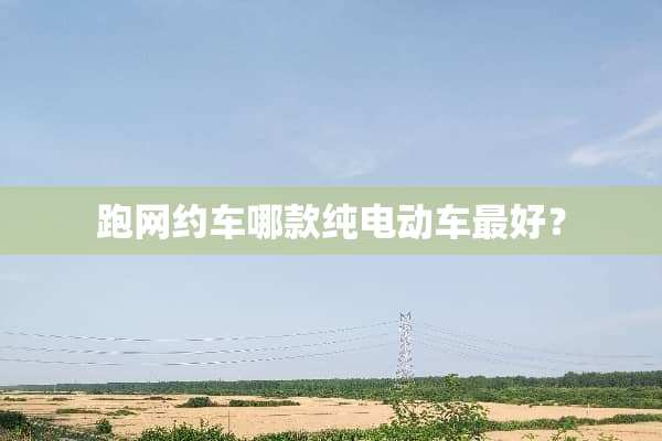 跑网约车哪款纯电动车最好？
