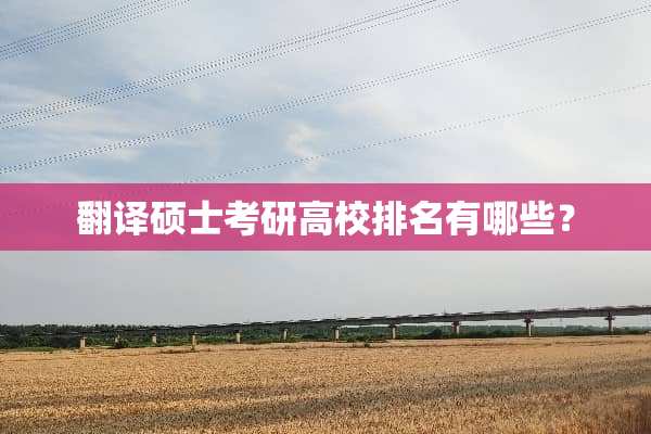 翻译硕士考研高校排名有哪些？