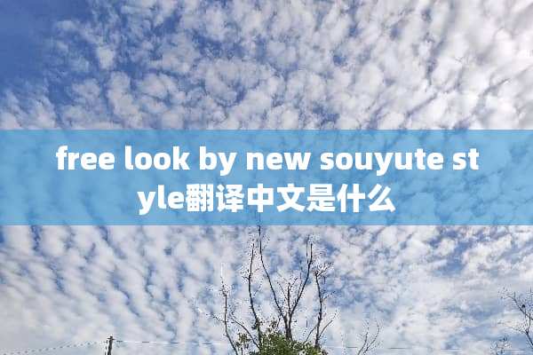 free look by new souyute style翻译中文是什么