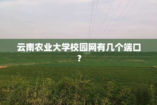云南农业大学校园网有几个端口？