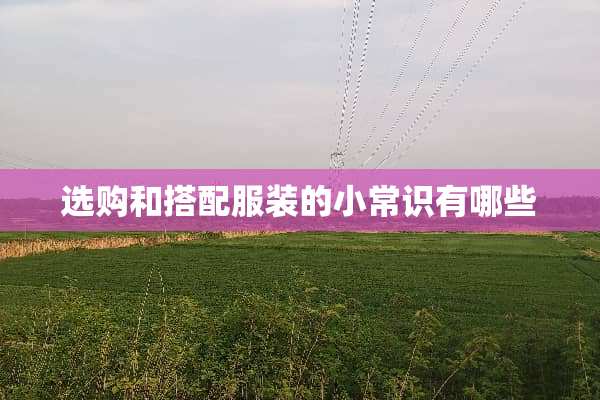 选购和搭配服装的小常识有哪些