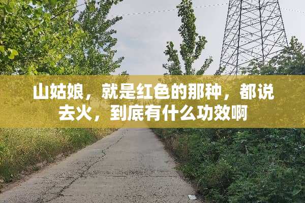 山姑娘，就是红色的那种，都说去火，到底有什么功效啊