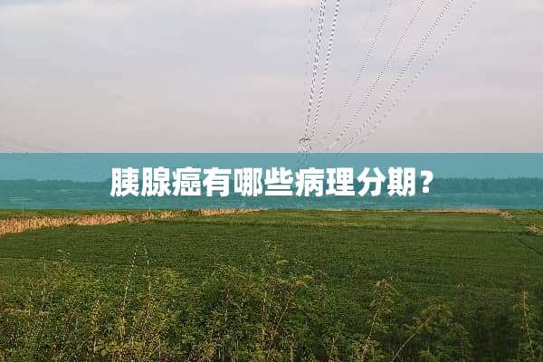 胰腺癌有哪些病理分期？