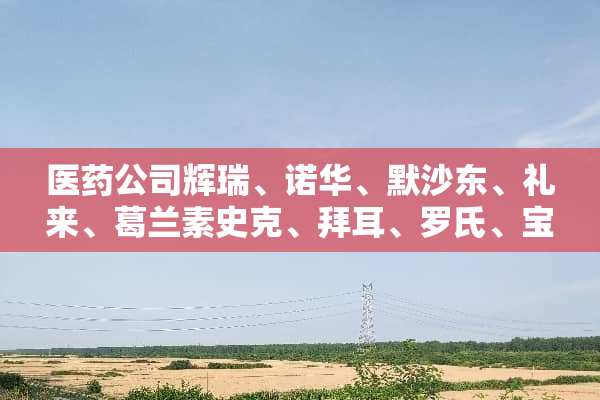 医药公司辉瑞、诺华、默沙东、礼来、葛兰素史克、拜耳、罗氏、宝洁、强生实习生