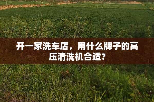 开一家洗车店，用什么牌子的高压清洗机合适？