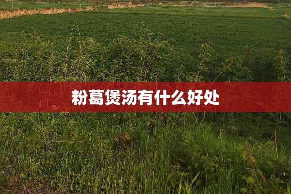 粉葛煲汤有什么好处