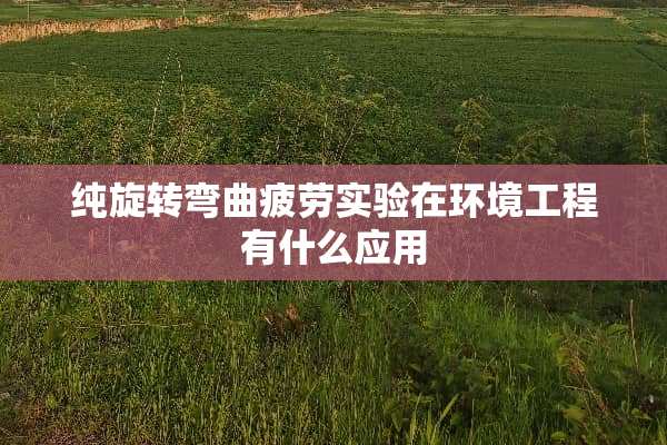 纯旋转弯曲疲劳实验在环境工程有什么应用