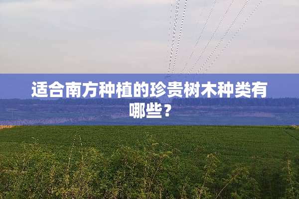 适合南方种植的珍贵树木种类有哪些？