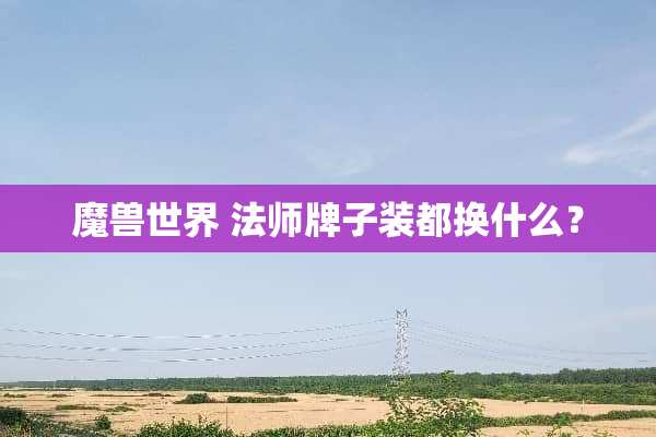 魔兽世界 法师牌子装都换什么？