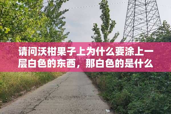 请问沃柑果子上为什么要涂上一层白色的东西，那白色的是什么