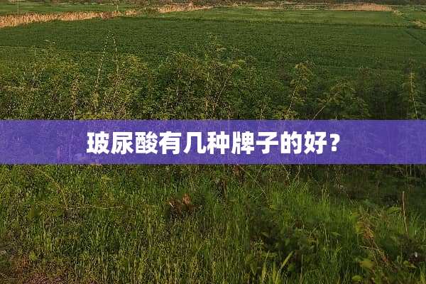 玻尿酸有几种牌子的好？