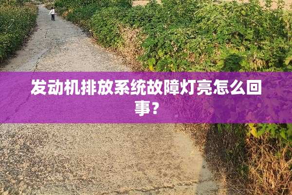 发动机排放系统故障灯亮怎么回事？