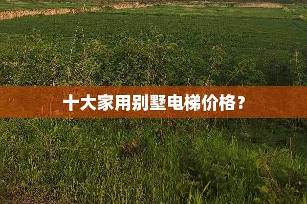 十大家用别墅电梯价格？