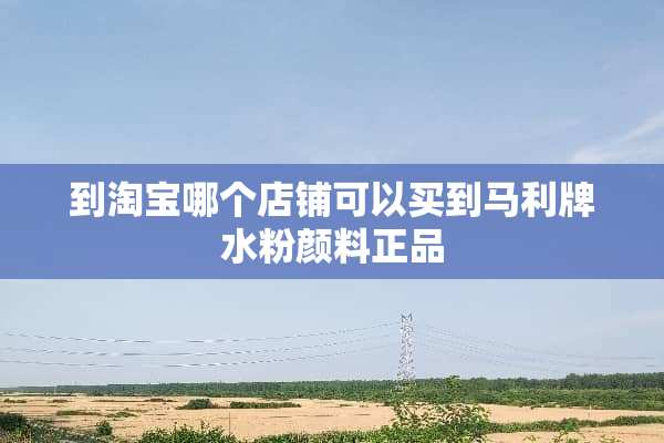 到淘宝哪个店铺可以买到马利牌水粉颜料正品