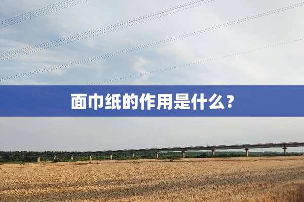 面巾纸的作用是什么？
