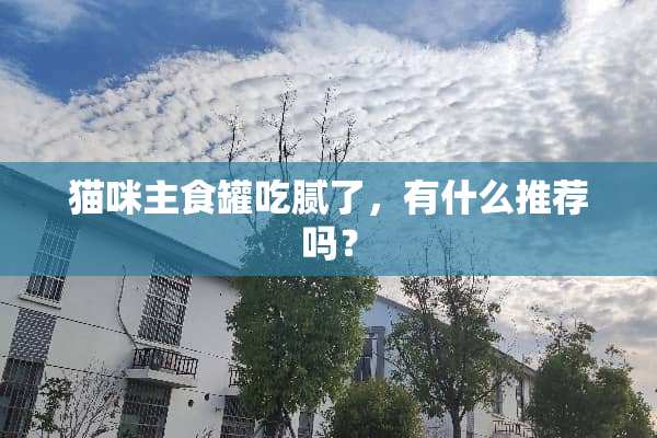 猫咪主食罐吃腻了，有什么推荐吗？