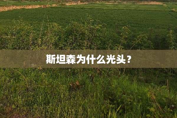 斯坦森为什么光头？