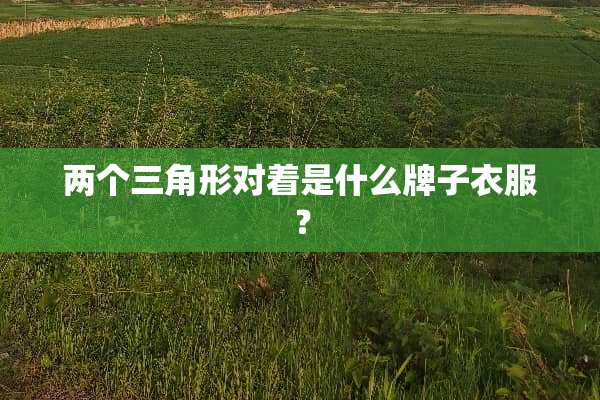 两个三角形对着是什么牌子衣服？