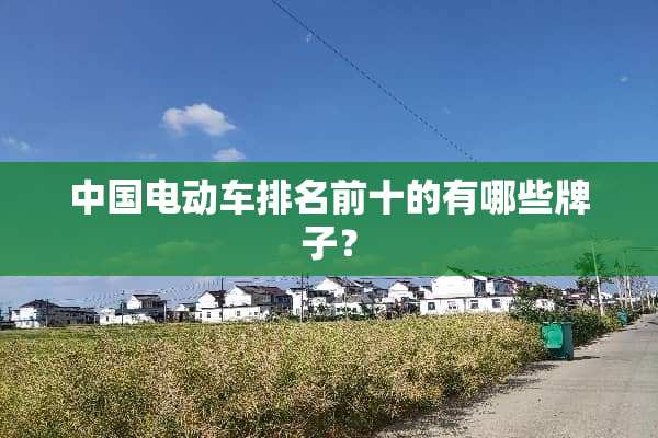 中国电动车排名前十的有哪些牌子？
