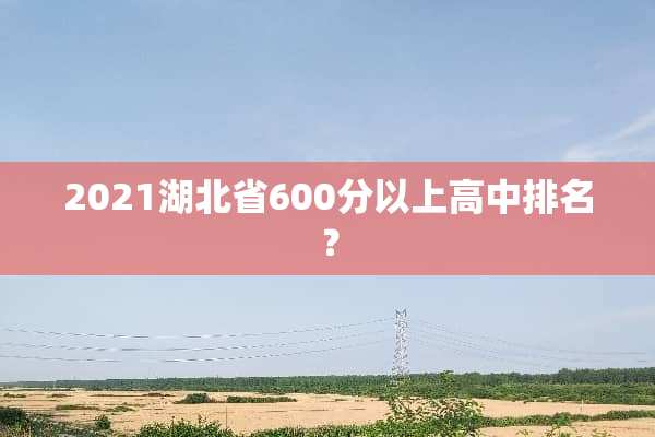 2021湖北省600分以上高中排名？