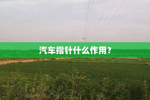 汽车指针什么作用？