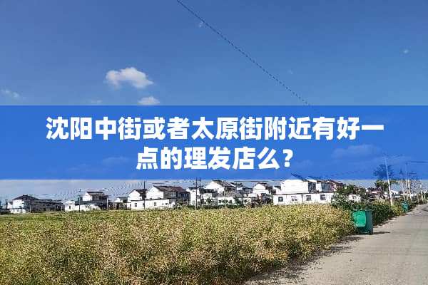 沈阳中街或者太原街附近有好一点的理发店么？