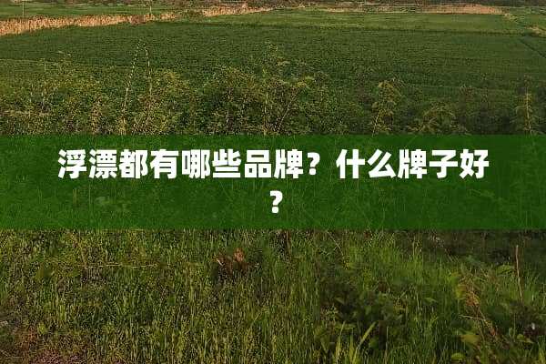 浮漂都有哪些品牌？什么牌子好？