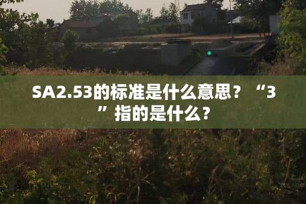 SA2.53的标准是什么意思？“3”指的是什么？