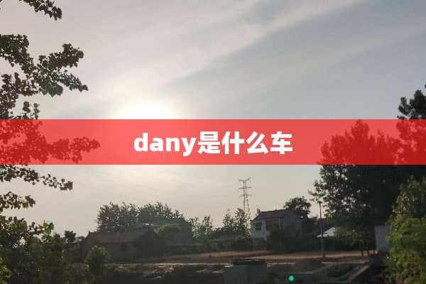 dany是什么车