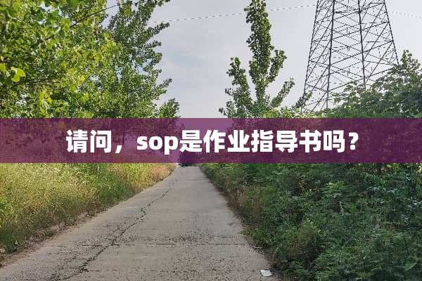 请问，sop是作业指导书吗？