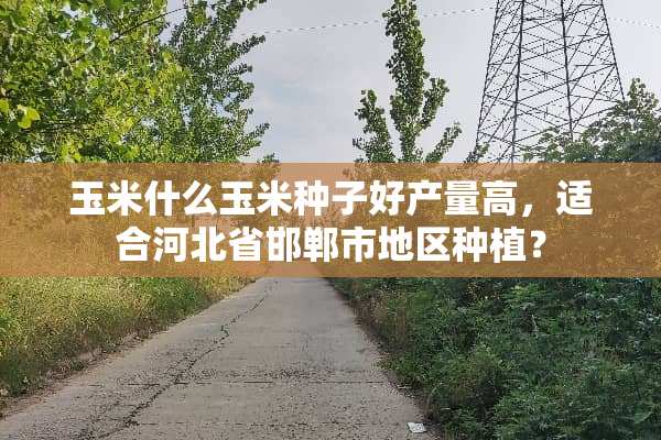 玉米什么玉米种子好产量高，适合河北省邯郸市地区种植？