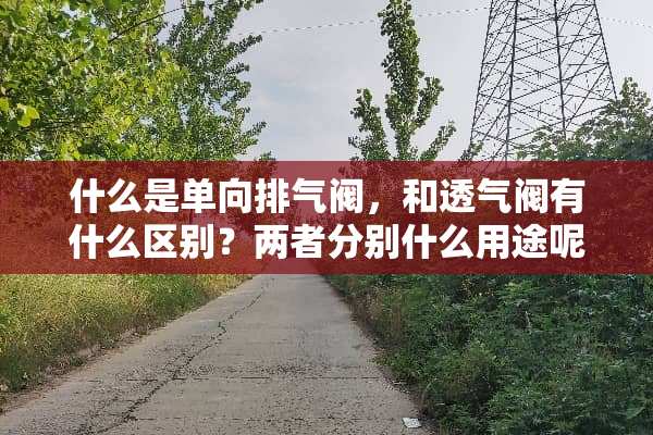 什么是单向排气阀，和透气阀有什么区别？两者分别什么用途呢？