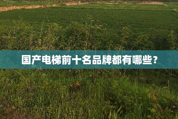 国产电梯前十名品牌都有哪些？