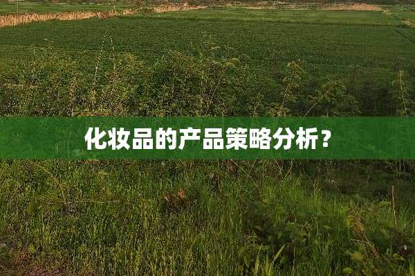 化妆品的产品策略分析？