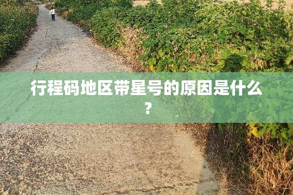 行程码地区带星号的原因是什么？