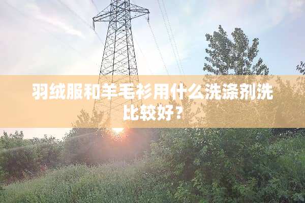 羽绒服和羊毛衫用什么洗涤剂洗比较好？
