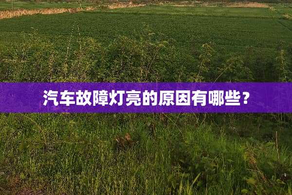 汽车故障灯亮的原因有哪些？