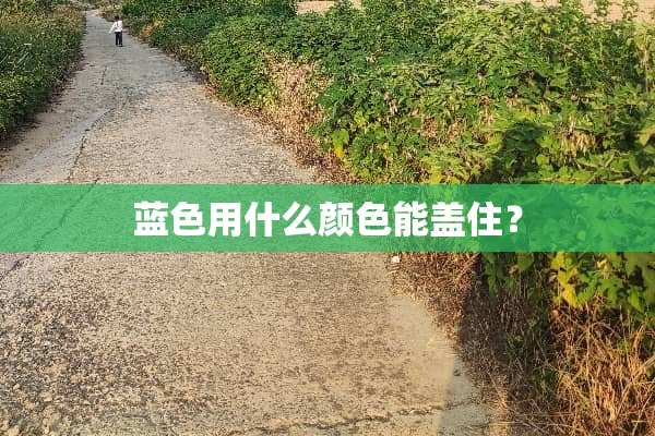 蓝色用什么颜色能盖住？