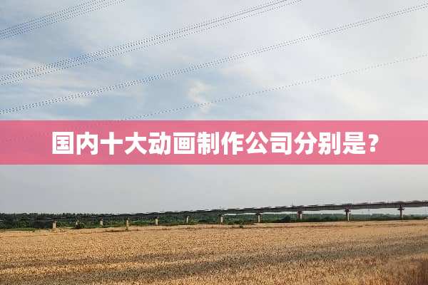 国内十大动画制作公司分别是？