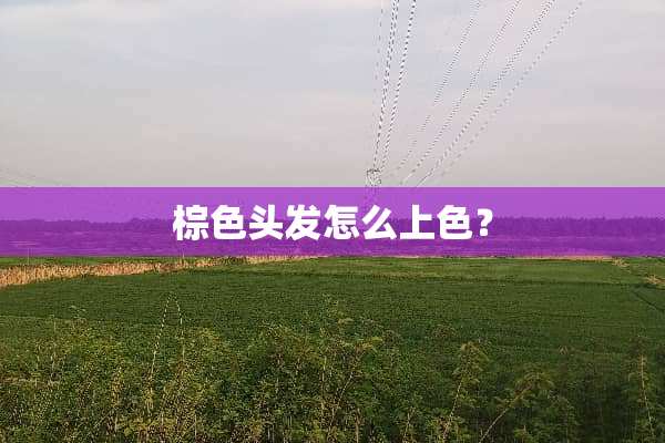 棕色头发怎么上色？