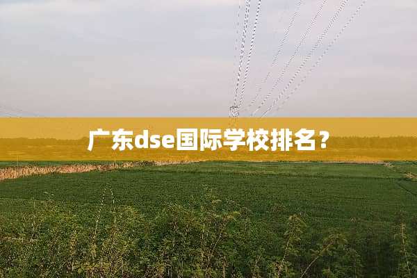 广东dse国际学校排名？