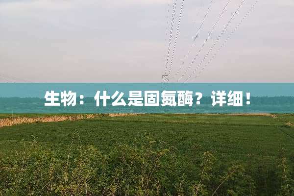生物：什么是固氮酶？详细！