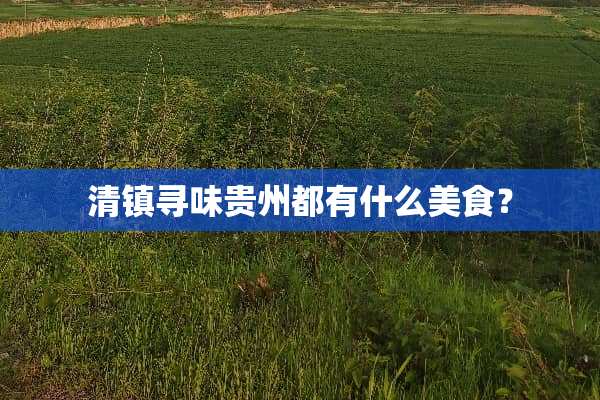 清镇寻味贵州都有什么美食？