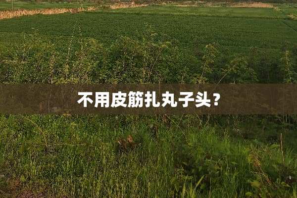 不用皮筋扎丸子头？